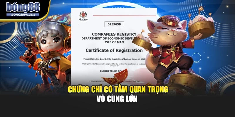 Chứng chỉ có tầm quan trọng vô cùng lớn