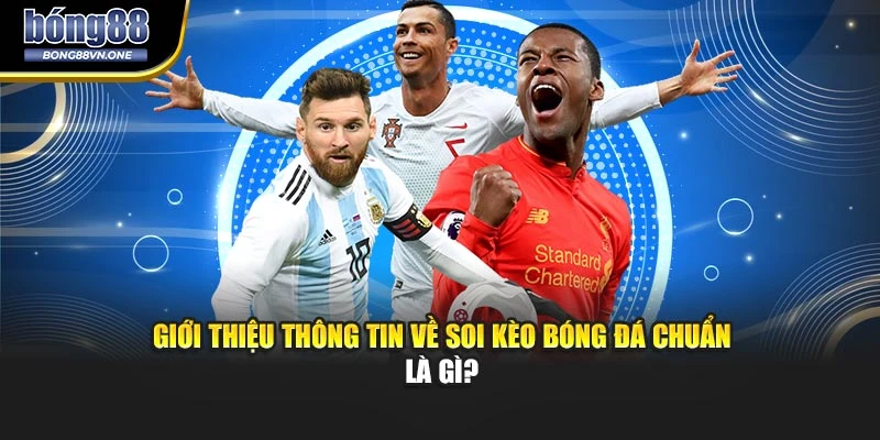 Giới thiệu thông tin về soi kèo bóng đá chuẩn là gì?