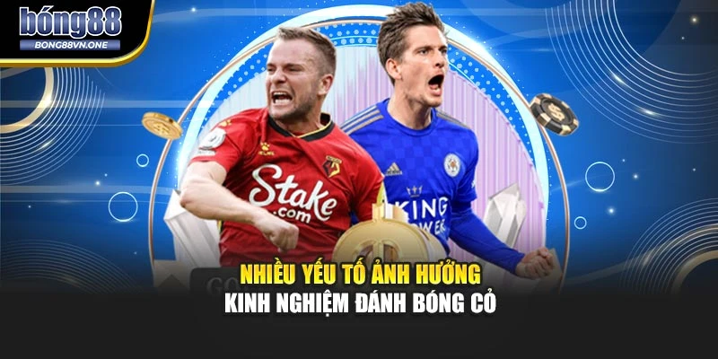Nhiều yếu tố ảnh hưởng kinh nghiệm đánh bóng cỏ
