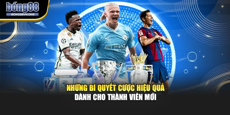 Những bí quyết cược hiệu quả dành cho thành viên mới